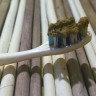  Зубной ЭКО порошок Солнечный зайчик Мята, устраняет причины неприятного запаха