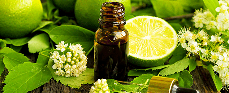 Растительные масла - это компоненты, которые в косметических целях применялись уже в Древней Греции. Сегодня их популярность лишь увеличилась, поскольку всё больше женщин выбирает натуральные средства для сохранения красоты. Коктейль